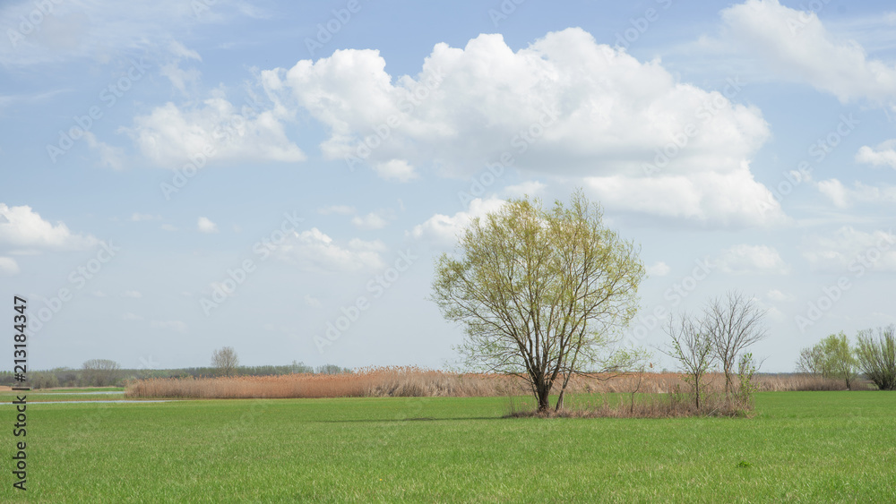 Fototapeta premium Sunny day in the middle of Hungary