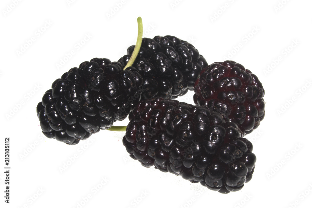mulberry isolated on white background mulberry isolated on white background