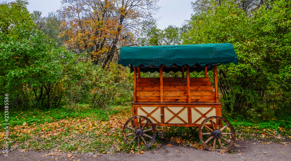 Vintage wooden cart at garden
