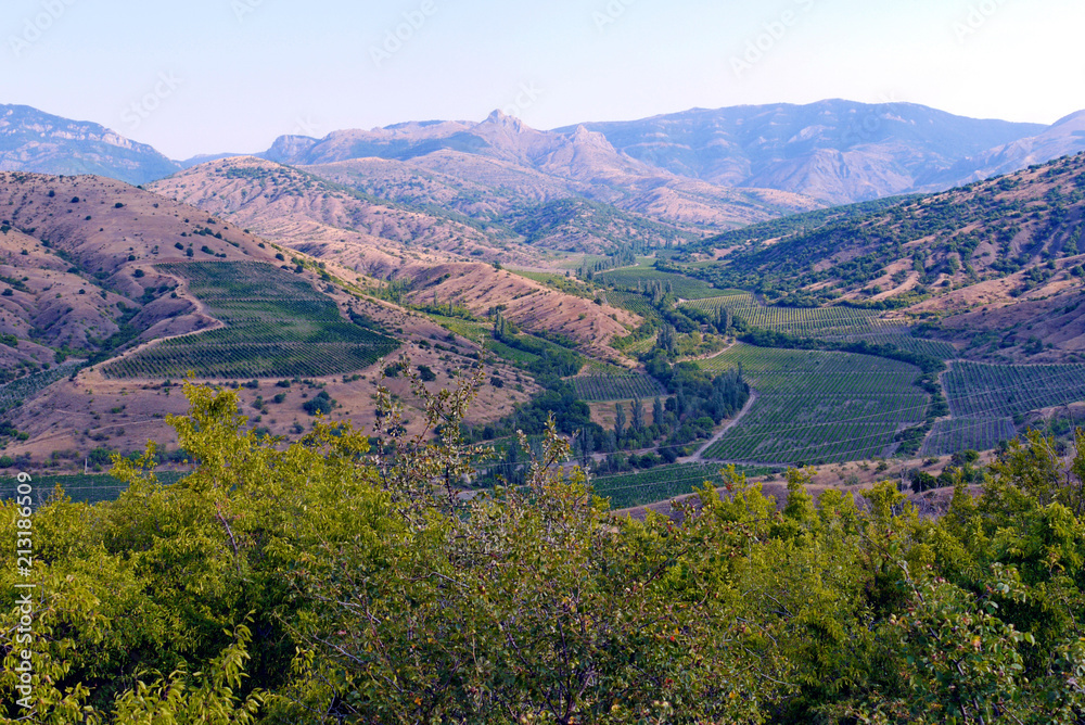 A beautiful view from above on the farmland located below in the valleys on the slopes on the plain .. A beautiful view from above on the farmland located below in the valleys on the slopes on the plain ..