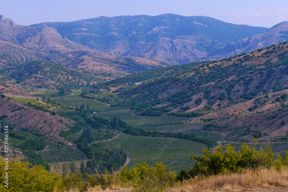 Beautiful farms as if drawn by green figures of different shapes, gatherings rising between the mountain slopes. Beautiful farms as if drawn by green figures of different shapes, gatherings rising between the mountain slopes.