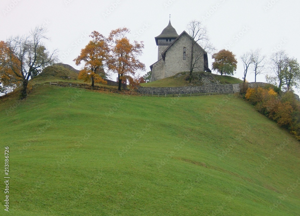 Suisse Suisse