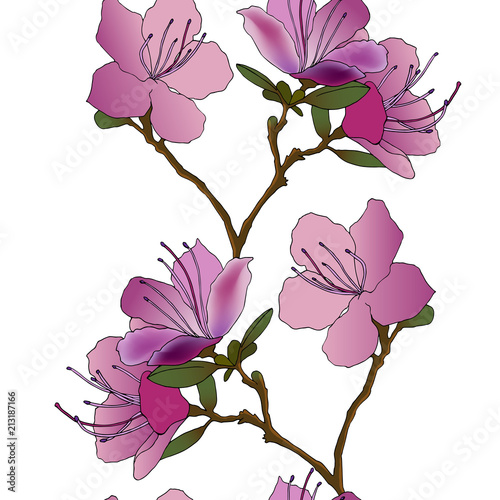 Hand sketched wreath of rhododendron Ledebour. Vector illustration of pink flowers with green leaves. Isolated composition of maralnik for postcard, print, decoration, backgrond. endemic of Altai photo