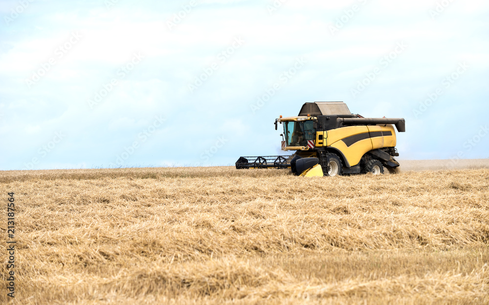 Obraz premium moissonneuse batteuse en activité sur champ de céréales