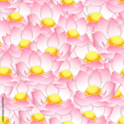Pink Indian lotus Seamless ...