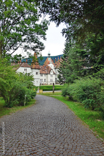 Layered cobblestone alley in a green park near the castle of Shenborn in the village Carpathians