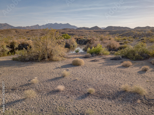 Arizona Desert