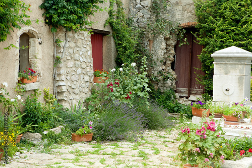 Fototapeta Ogród w Prowansji