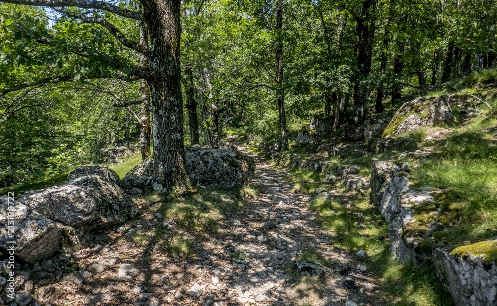 Randonnées en Lozère - Paysages - Randonnées en Lozère - Paysages -