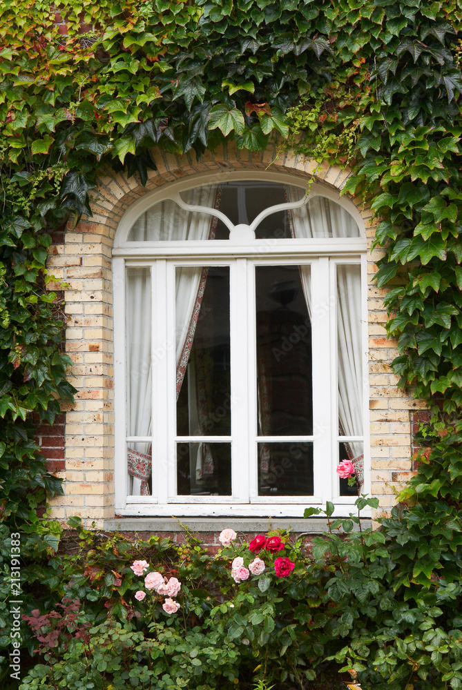 Cottage window with ivy