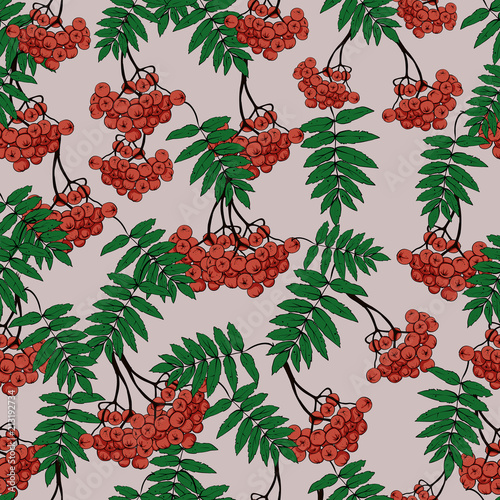 Seamless rowan pattern, vector
