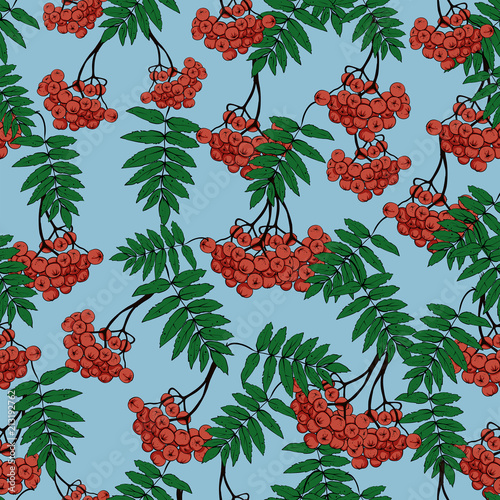 Seamless rowan pattern, vector