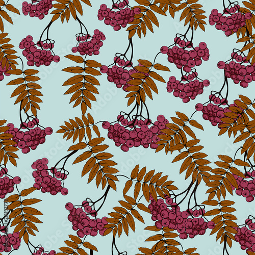 Seamless rowan pattern, vector