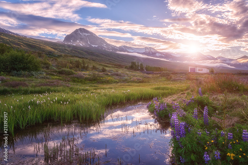 Beautiful summer landscape, sunset over the mountains and flowering valley with small river, blue cloudy sky and reflection in the water, Iceland countryside