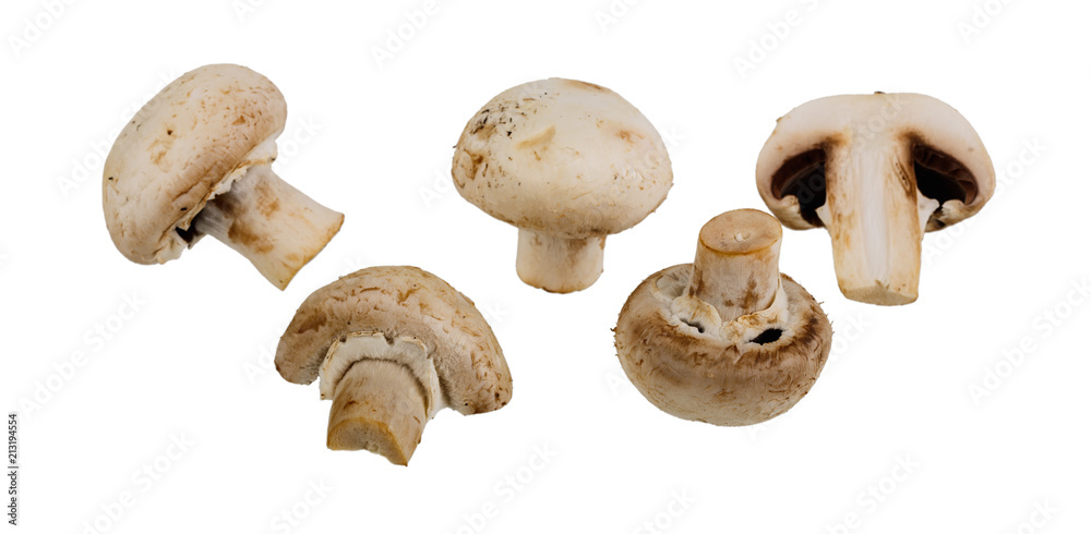 group of champignon mushrooms group of champignon mushrooms