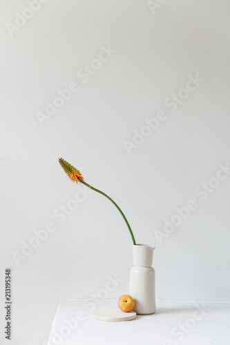 A single torch lily or red hot poker in a beige vase with a peach on a wooden plate on a white table top, catching the summer evening light. photo
