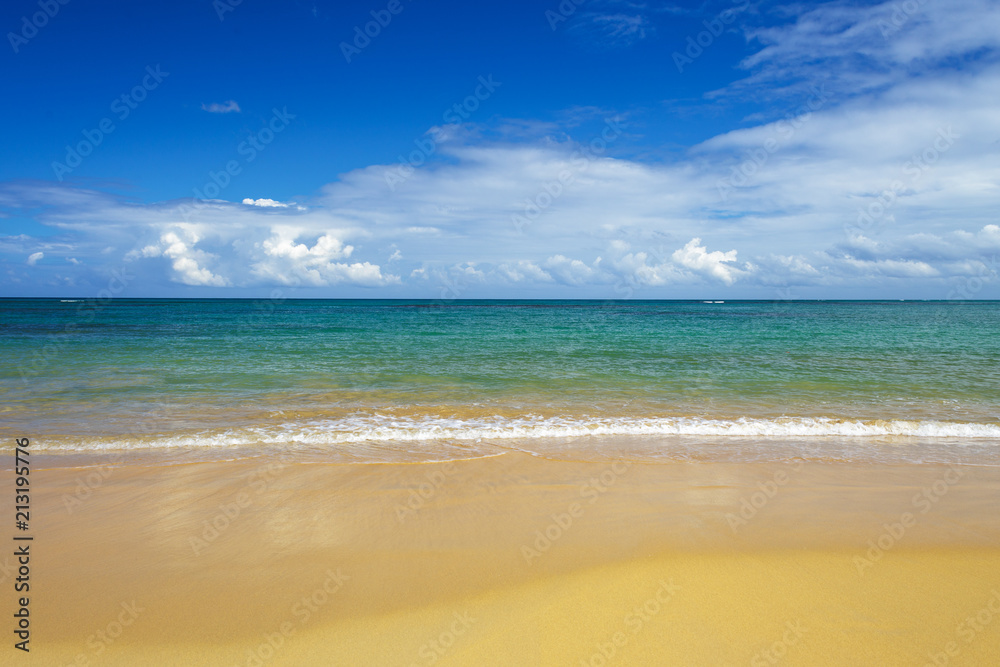 Fototapeta premium sea surf on the beach