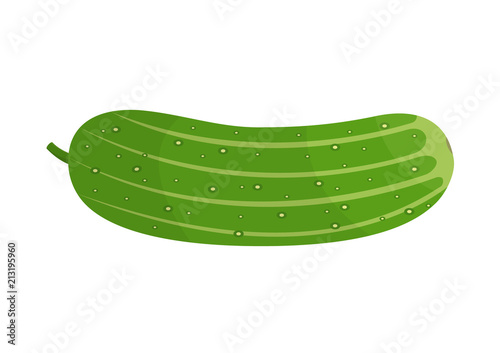 Vector illustration. Ripe cucumber on a white background.