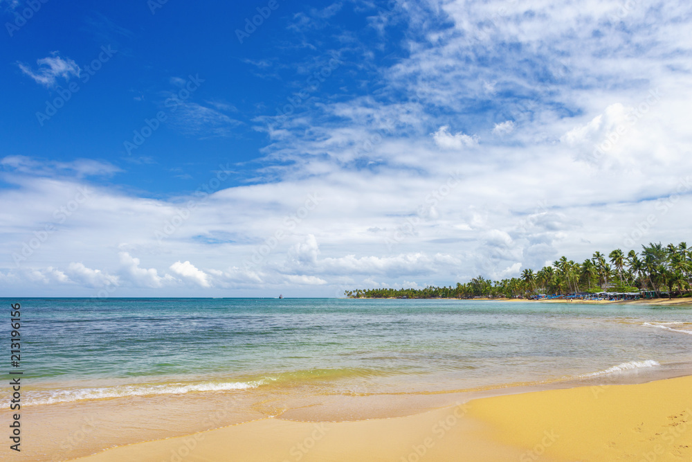 sea surf on the beach