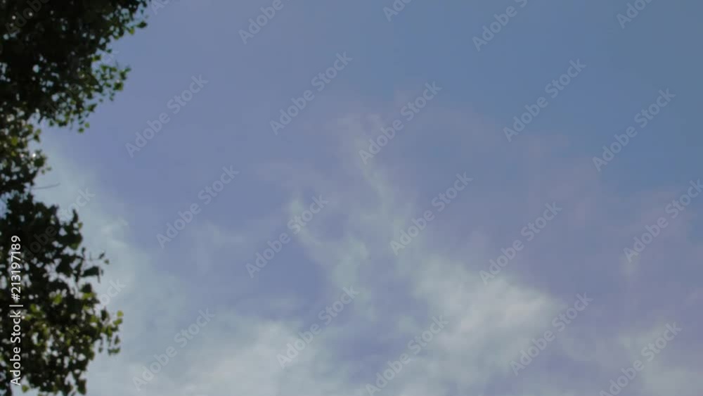 Cloud time lapse of white clouds with blue sky zoom out to cottonwood tree. Cloud time lapse of white clouds with blue sky zoom out to cottonwood tree.
