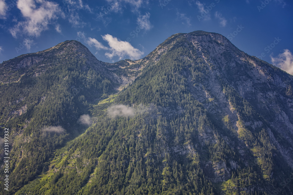  high mountains in summer time covered with forest ,Austria alps 