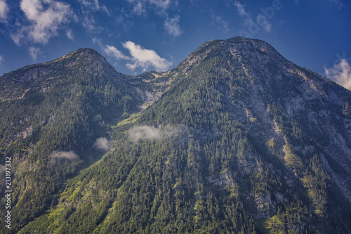  high mountains in summer time covered with forest  Austria alps 