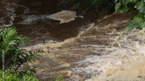 Dirty water flowing through a river in an African jungle with heavy rain. photo