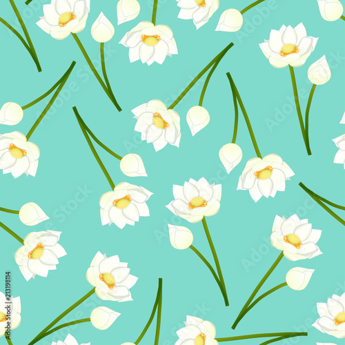 White Indian lotus on Green...