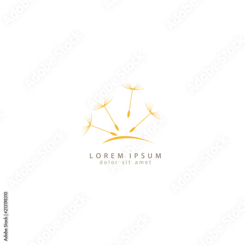 dandelion icon. dandelion logo vector illustration eps 10.