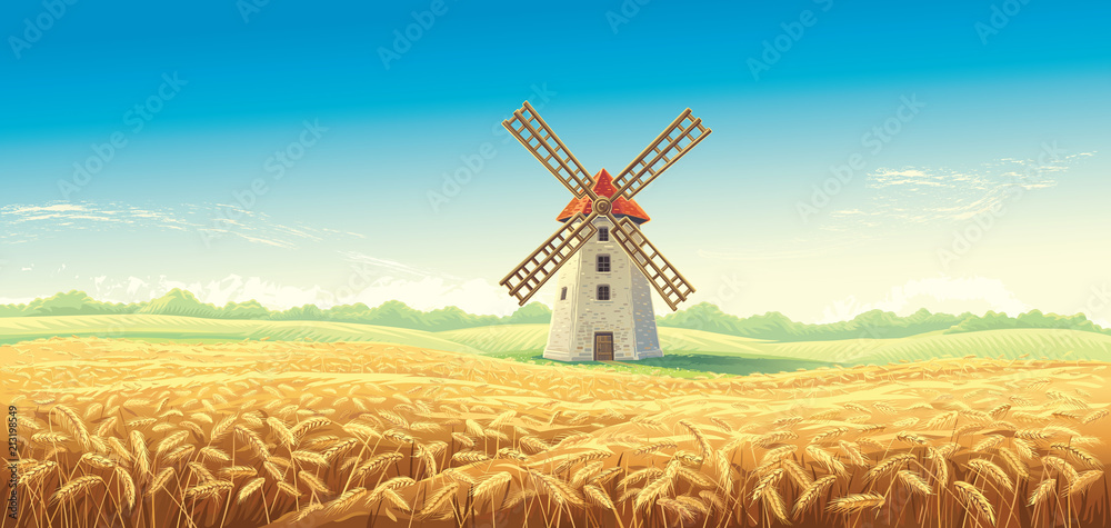 Rural summer landscape with windmill and wheat field. Vector illustration.
