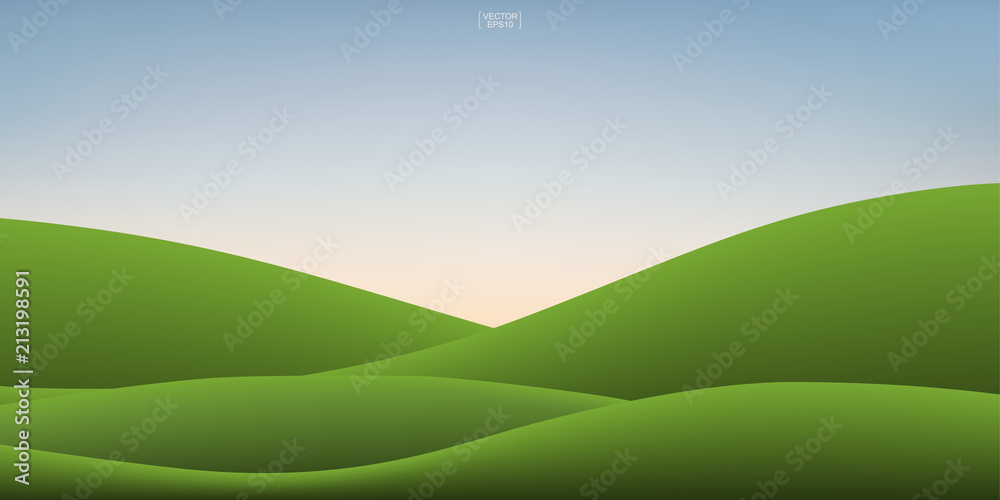 Green grass hill and sunset sky background. Outdoor natural background for template design. Vector.