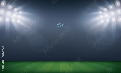 Football field or soccer field stadium background. Vector.