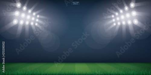 Football field or soccer field stadium background. Vector.