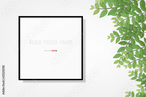 Photo frame or picture frame background with branch green leaf. Vector.