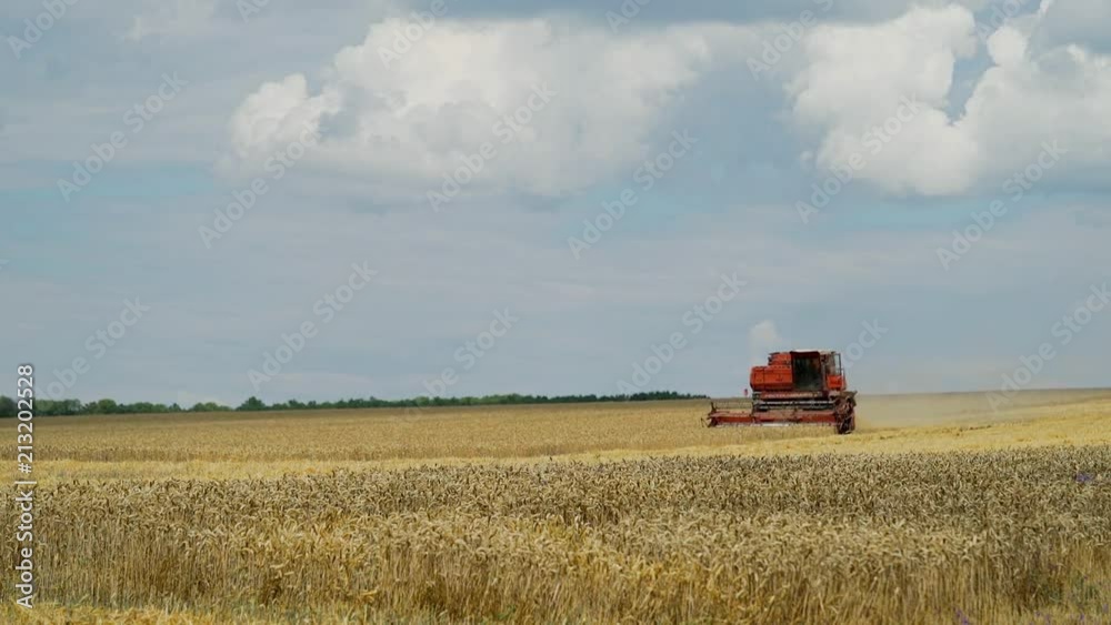 Harvester machine to harvest wheat field working. Combine harvester agriculture machine harvesting golden ripe wheat field. Agriculture Harvester machine to harvest wheat field working. Combine harvester agriculture machine harvesting golden ripe wheat field. Agriculture