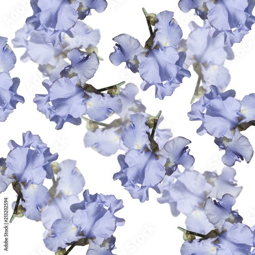 Fototapeta Naklejka Na Ścianę i Meble -  Beautiful floral background of blue irises 