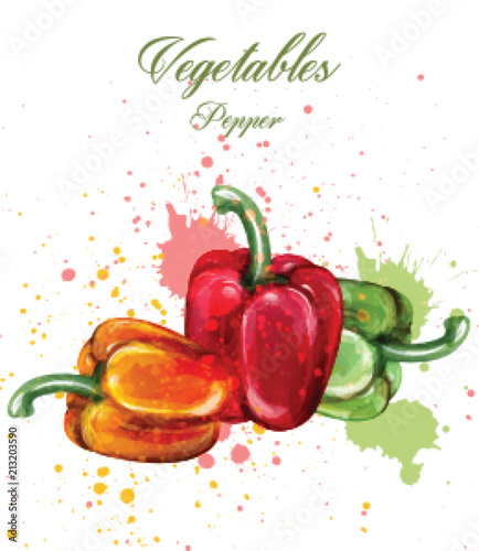 Peppers watercolor Vector. Juicy colorful vegetables illustrations