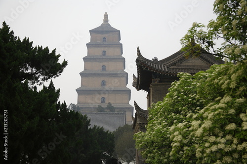 Goose s Pagoda Xi an