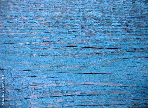 texture the old peeled board of blue color. old tree. the peeled paint. rough skin. old age.
