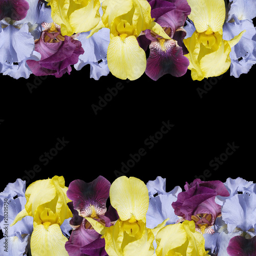 Fototapeta Naklejka Na Ścianę i Meble -  Beautiful floral background of irises 