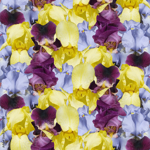 Fototapeta Naklejka Na Ścianę i Meble -  Beautiful floral background of irises 