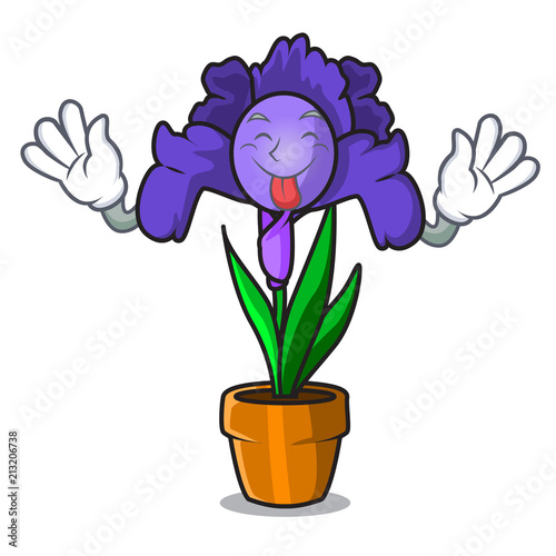 Tongue out iris flower mascot cartoon photo