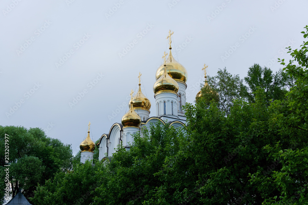 St. Nicholas Monastery (Pereslavl-Zalessky)
