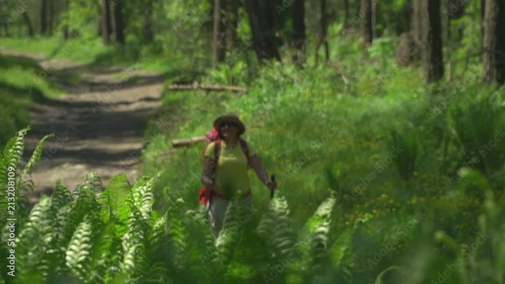 The woman the traveler with a red backpack and sticks for tracking goes on the wood. Mountain area. The woman the traveler with a red backpack and sticks for tracking goes on the wood. Mountain area.