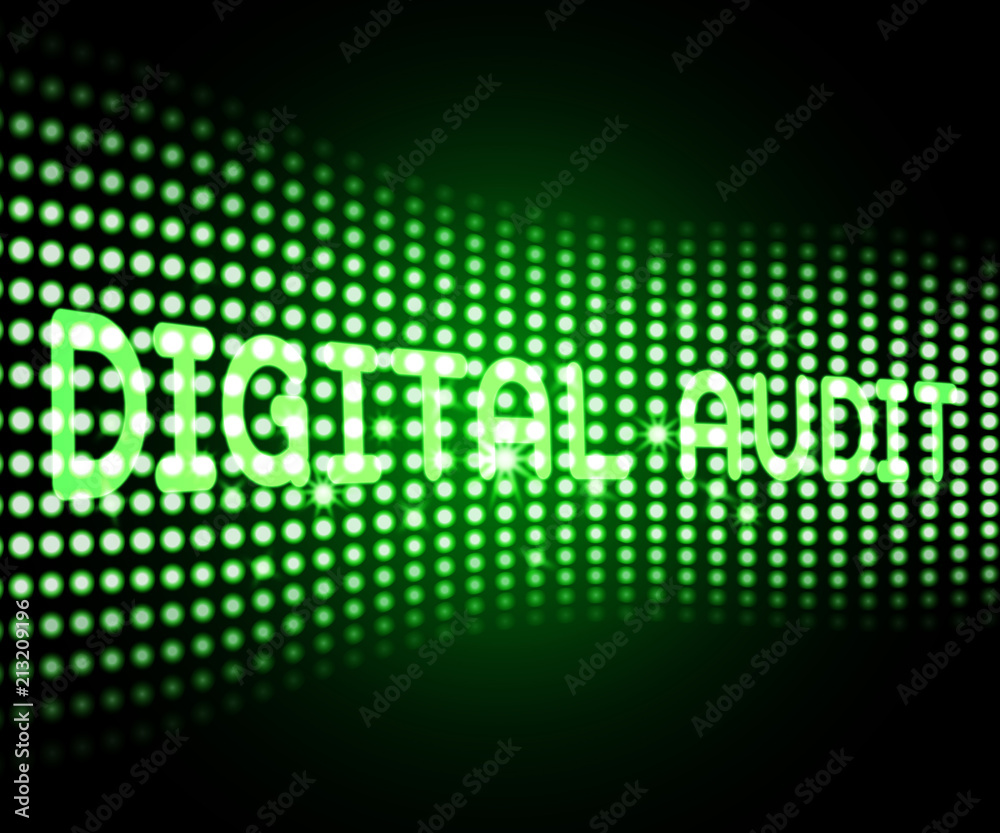 Digital Audit Cyber Network Examination 3d Illustration Digital Audit Cyber Network Examination 3d Illustration