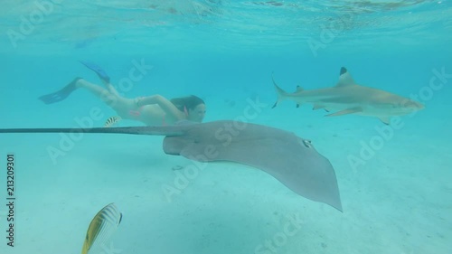 Wallpaper Mural SLOW MOTION, UNDERWATER: Adventurous girl swims in the ocean full of stingrays and sharks. Cheerful girl in bikini enjoying her summer holiday by diving in the emerald sea with beautiful exotic fish. Torontodigital.ca