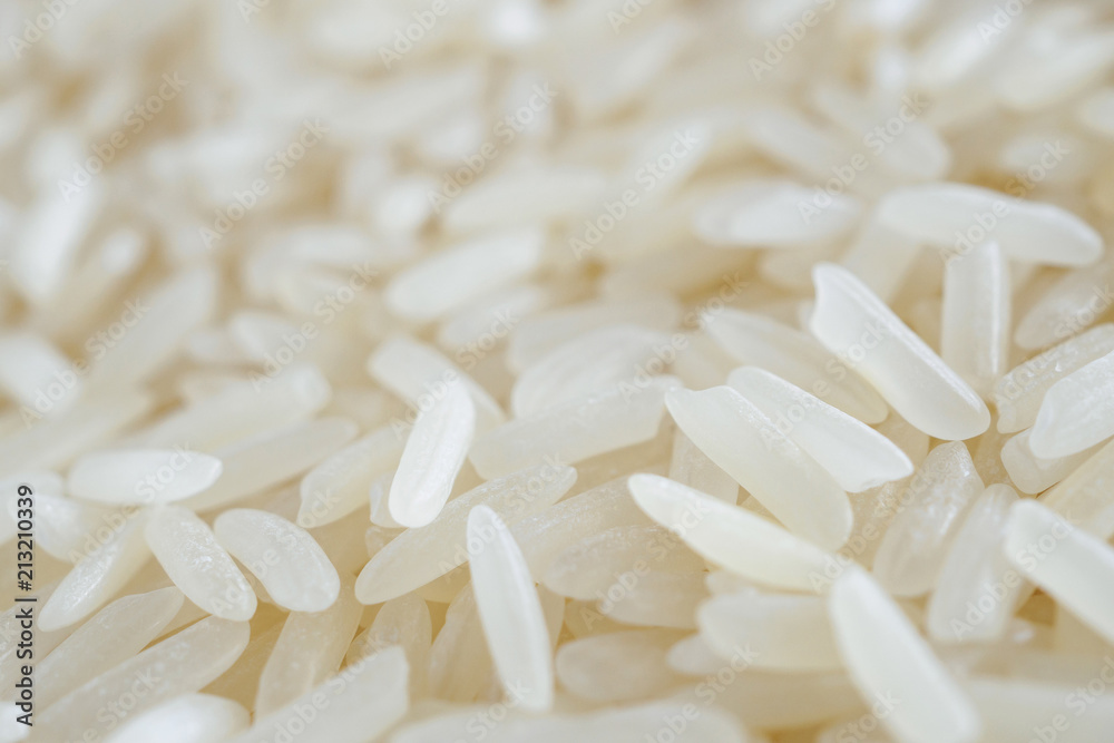 Thailand Jasmine rice texture background close up Thailand Jasmine rice texture background close up