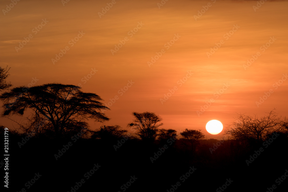 Sunrise Meru National Park