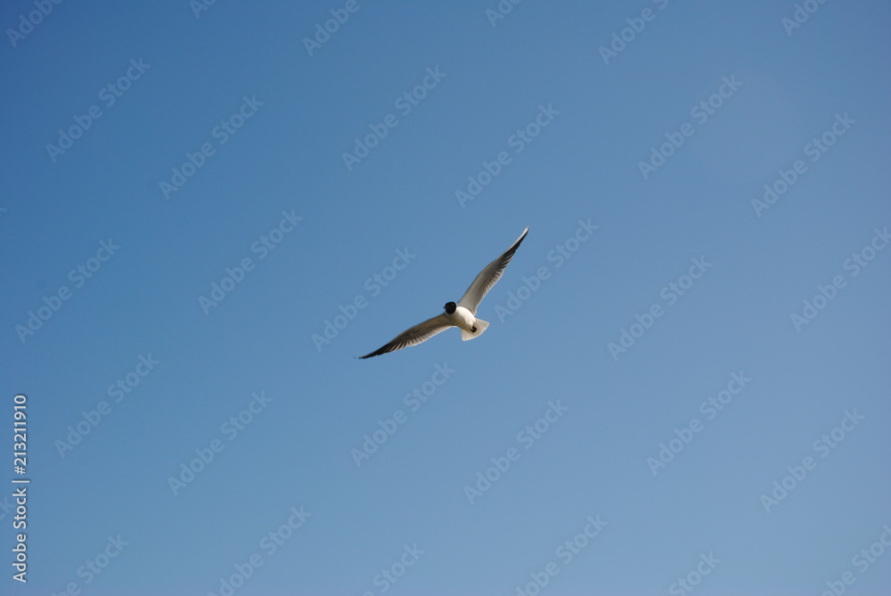 Obraz premium Ostsee