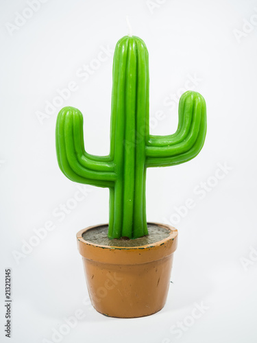 Cactus candle detais with white background photo
